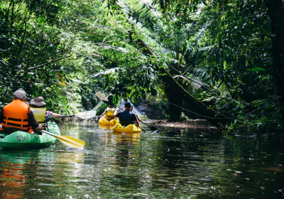 Panama Reisen Gatun See Boot Dschungel 3