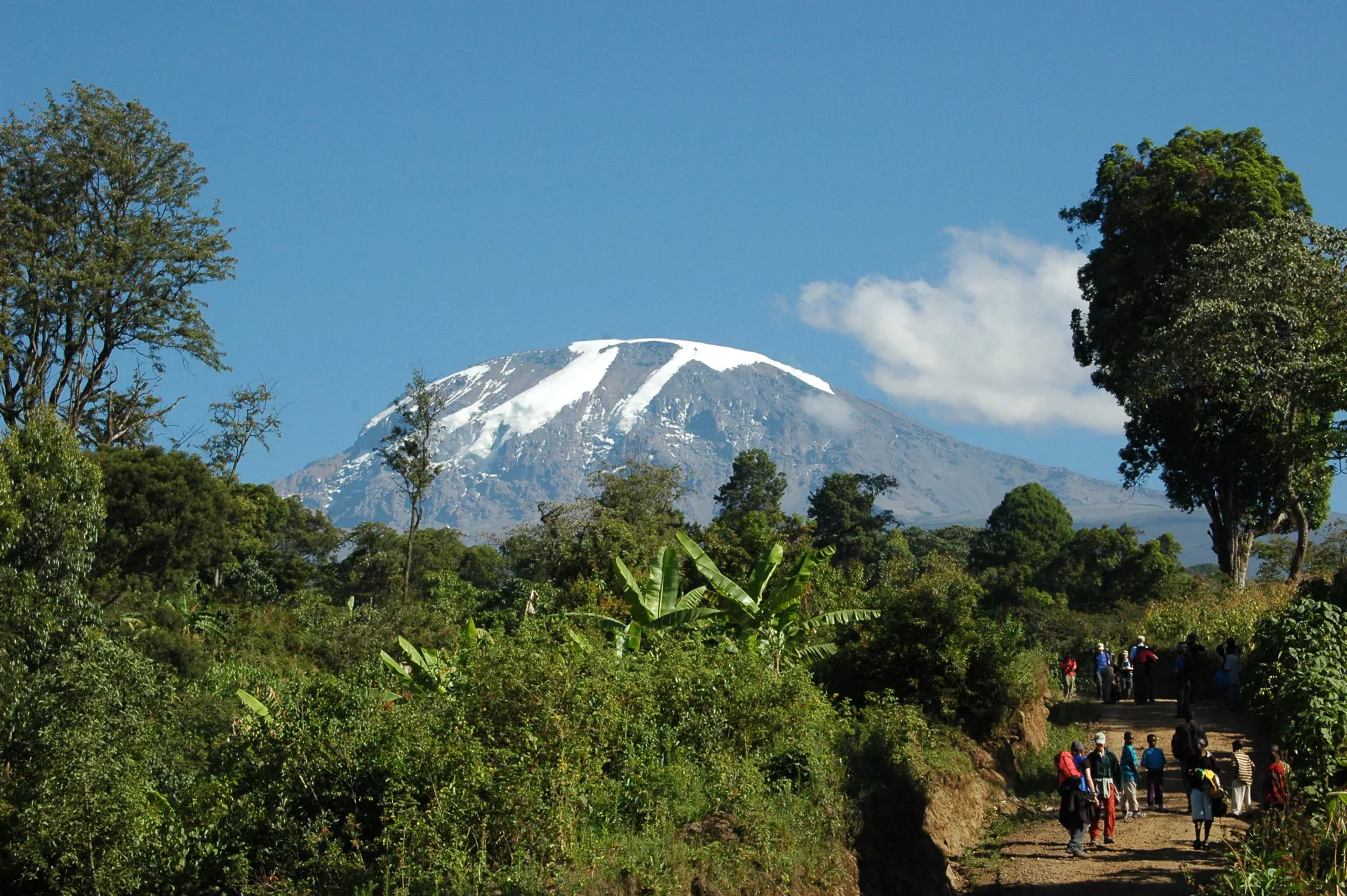 Tansania Safari Kilimanjaro Trekking Aufstieg