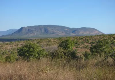 Tansania Safari Selbstfahrer Ruaha Nationalpark Panorama