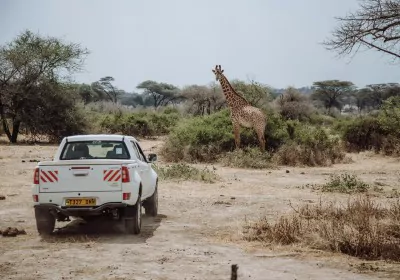 Tansania Selbstfahrerreise Jeep Giraffe