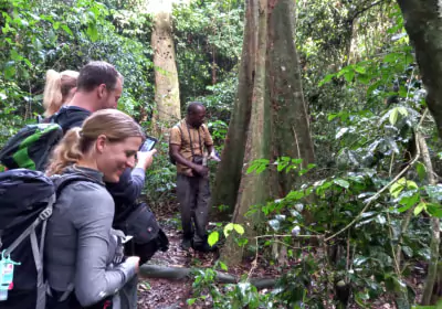Uganda Aktivreise Tukio Natur Spaziergang