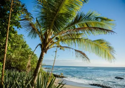 costa rica rundreise strand palme
