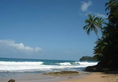 Costa Rica Abenteuerreise Karibikkuste Karibik Strand und Palmen