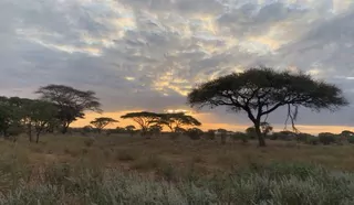 Kenia_Safari_Sonnenaufgang_Dzuck