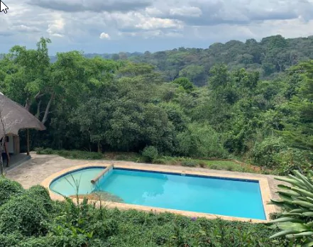 Uganda Rundreise Kibale Forest Turaco Treetops Pool