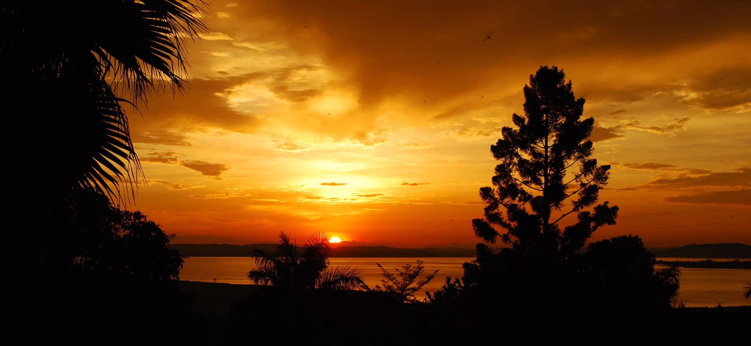 Uganda Rundreise Entebbe Sonnenuntergang ueber dem Victoriasee