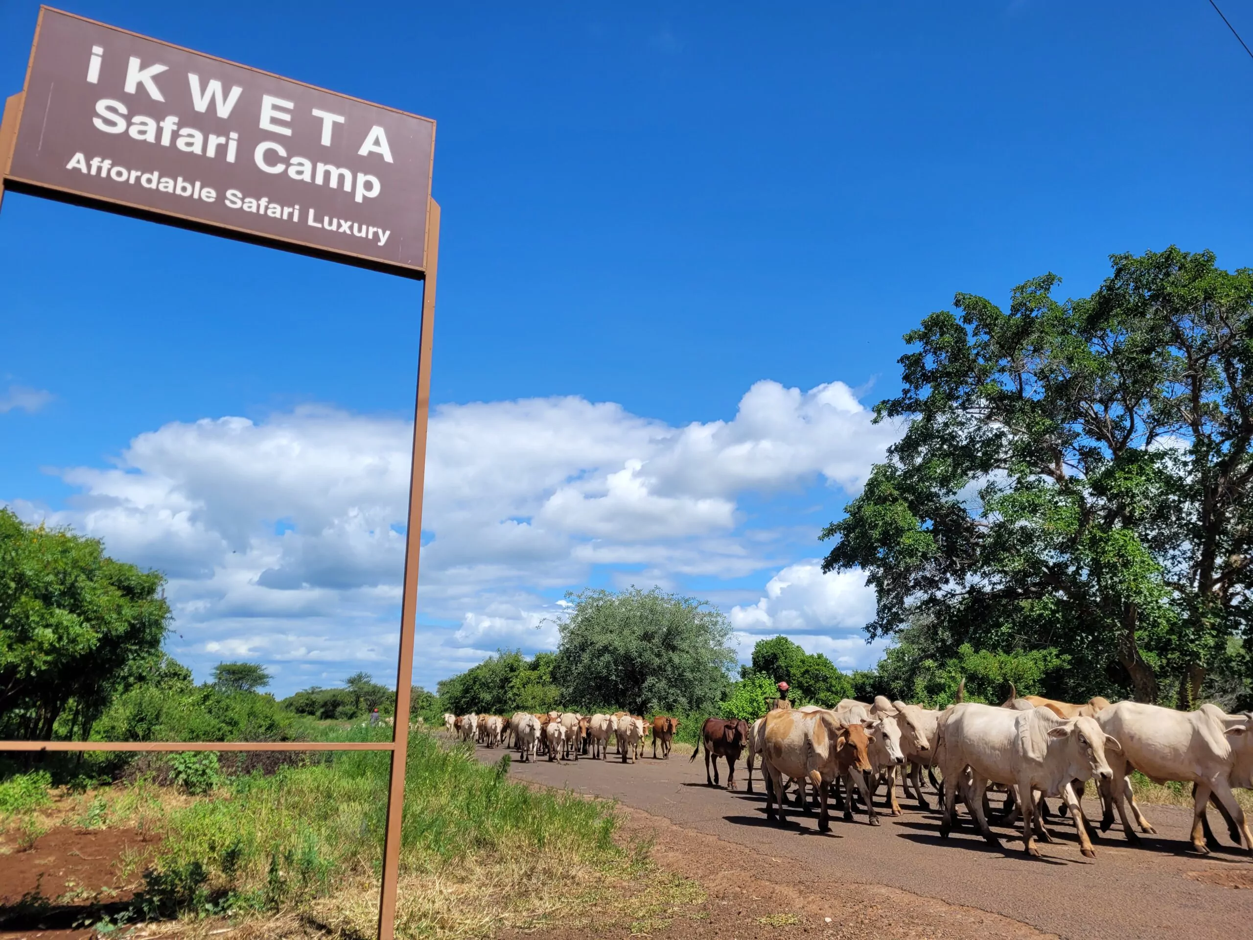 Mietwagenreise durch Kenia Ikweta Camp am Meru Nationalpark