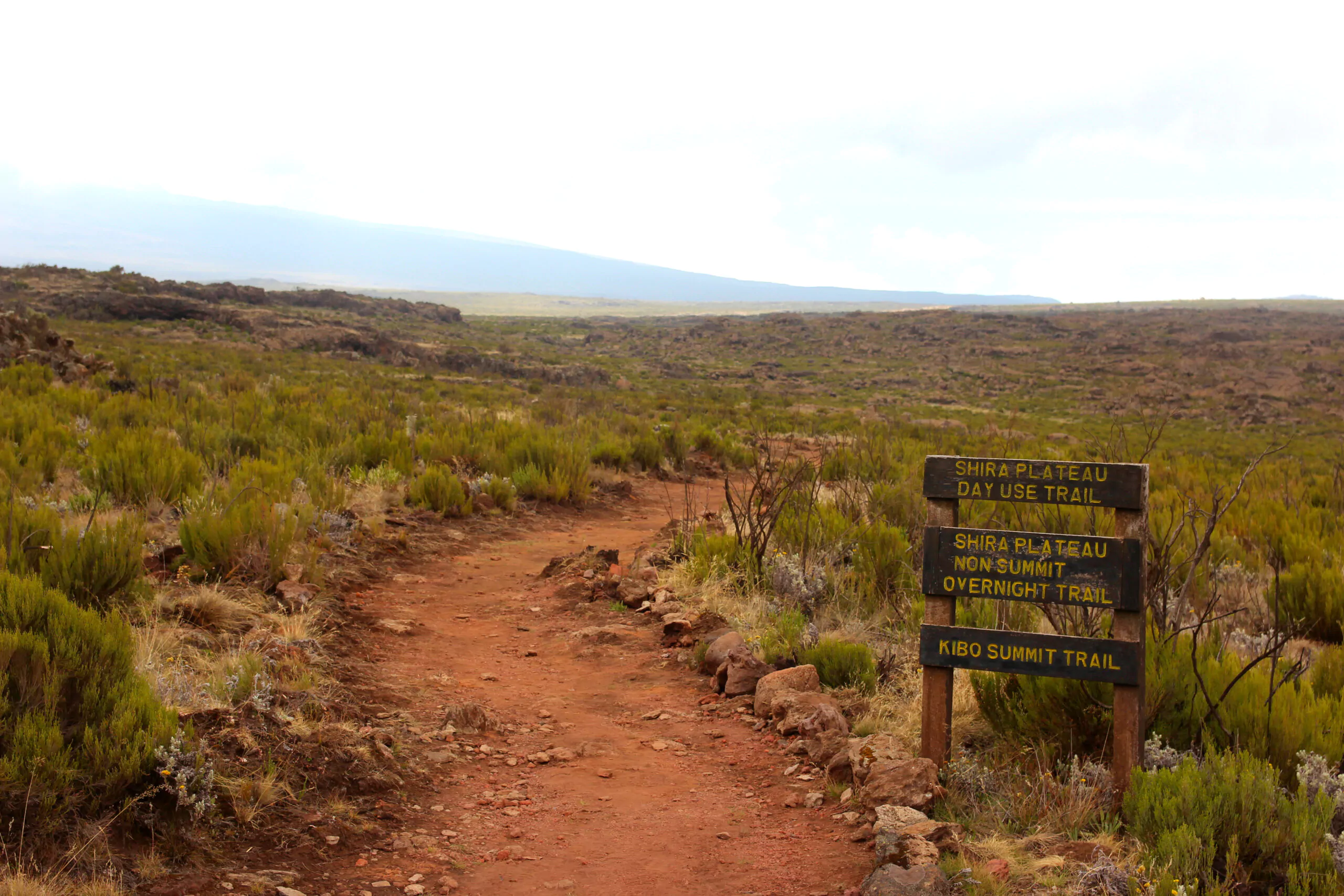 Tansania Camping Safari mit dem Mietwagen Western Kilimanjaro Shira Plateau Wanderweg