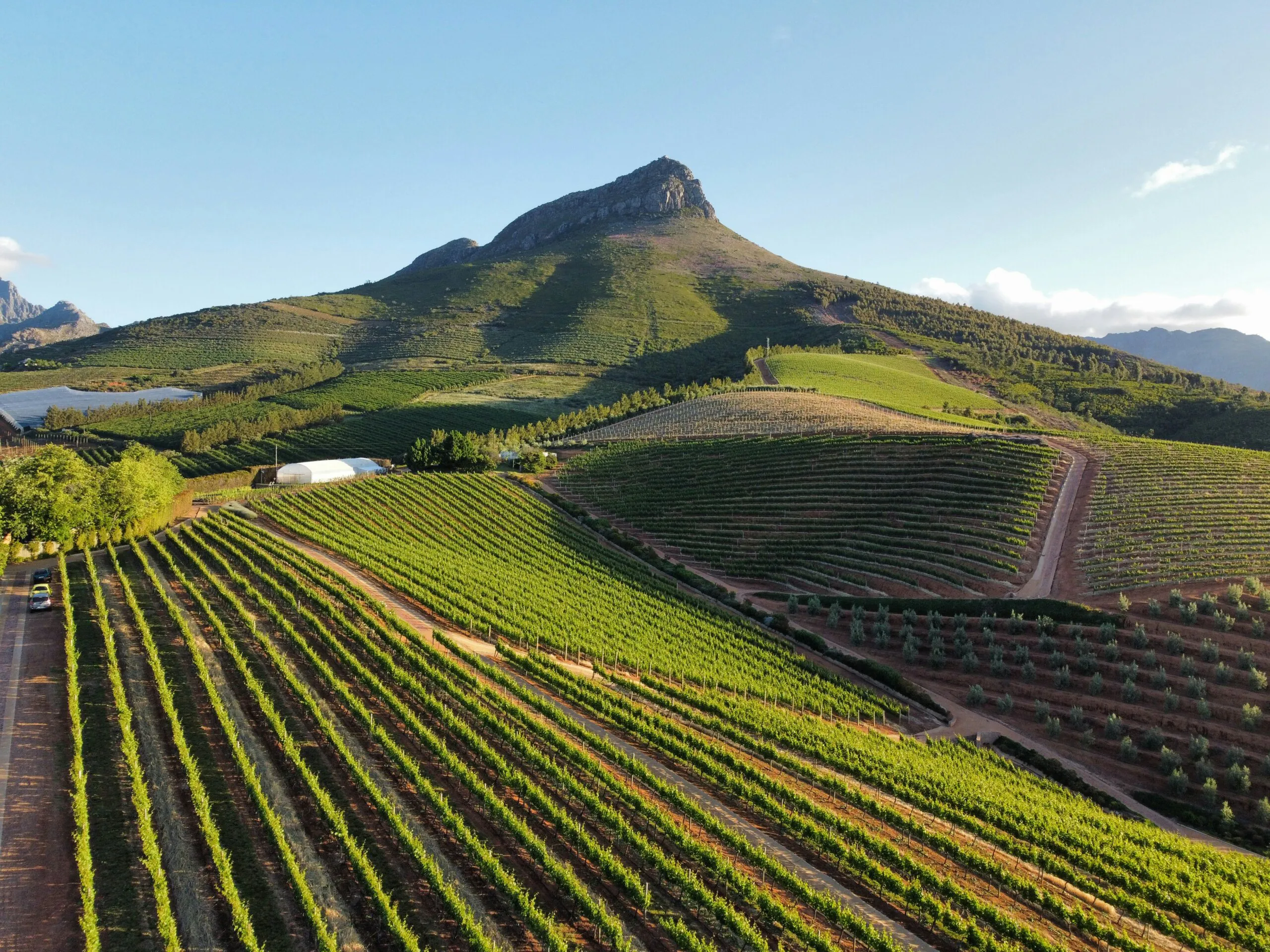 Suedafrika-auf-eigene-Faust-Cape-Winelands