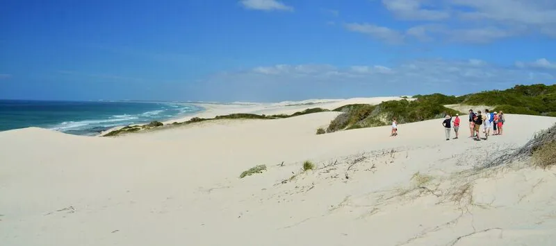 Suedafrika-auf-eigene-Faust-De-Hoop-Strand-Access-Southern-Africa