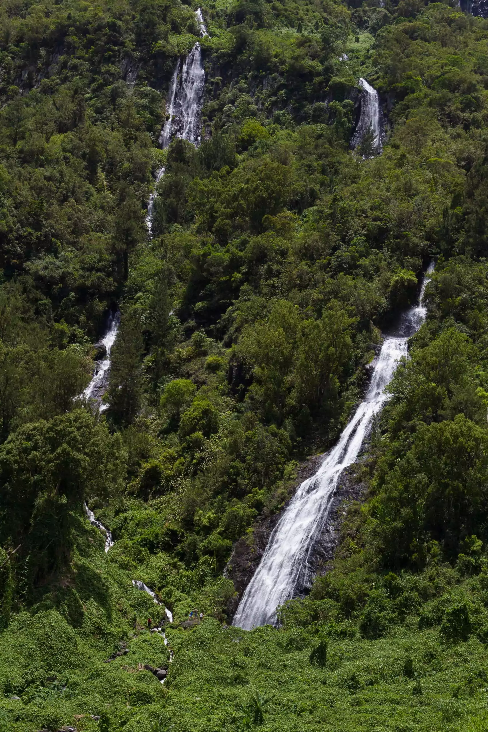 La Réunion und Mauritius Reise Salazie Braut Schleier Wasserfall