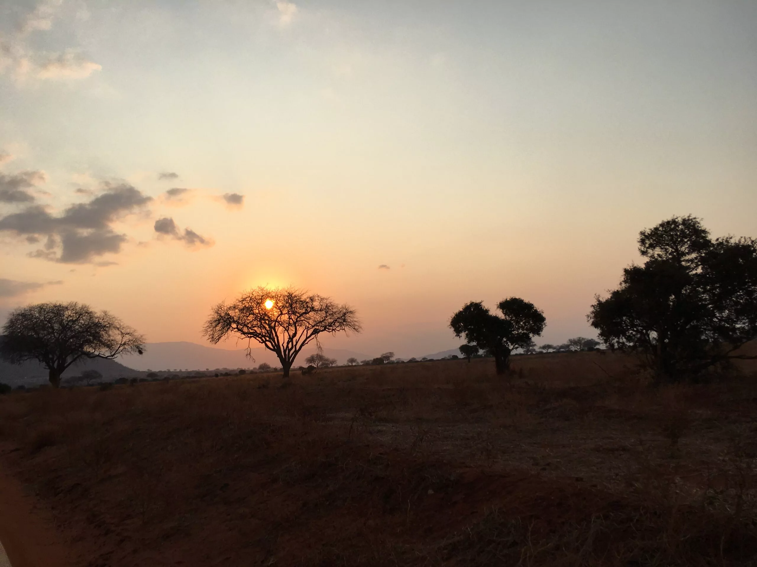 Reisebericht Selbstfahrersafari Kenia sonnenuntergang